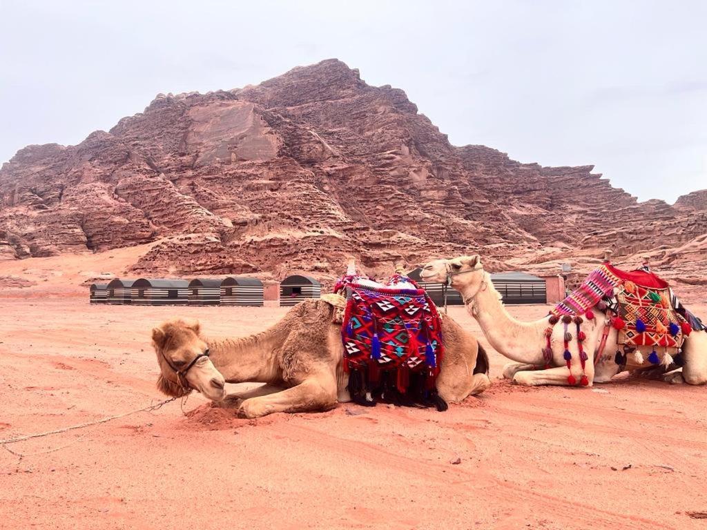Wadi Rum Sky Tours & Camp Zewnętrze zdjęcie